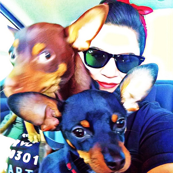 vics_cl0set